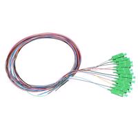 Picture of EXTRALINK 12-COLOURS PIGTAILS SC/APC G657A1