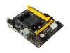 Slika Biostar AMD FM2+ A68MDE