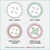 Picture of Secomp Value SFTP (PiMF) PatchCord Cat6A/Cl.EA, plavi, 0.3m