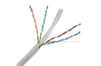 Picture of Lansan FTP CAT6 kotur 305m, cross divider