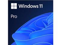 Picture of Microsoft OEM Windows 11 Pro 64bit Eng Int DVD
